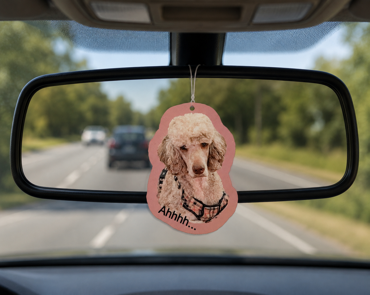 Custom Photo Air Freshener