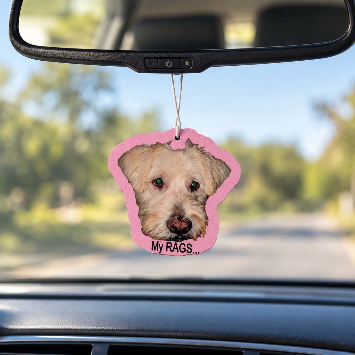 Custom Photo Air Freshener