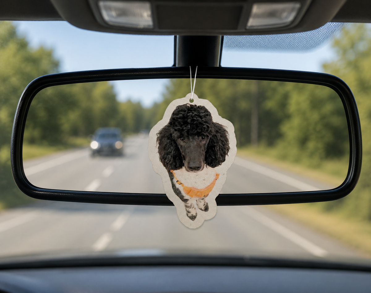 Custom Photo Air Freshener